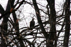 Killikus&reg; Fotographie